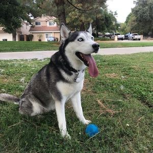 Meet your Posher, Connor